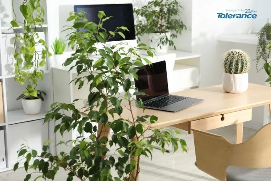 Biophilic Design in Antalya Apartments: Bringing Nature Indoors Antalya Apartments